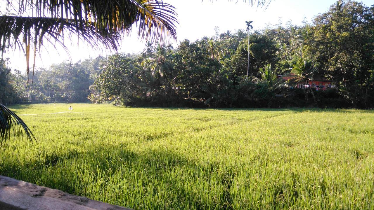 Villa Paddy Fields View Mirissa Exteriér fotografie